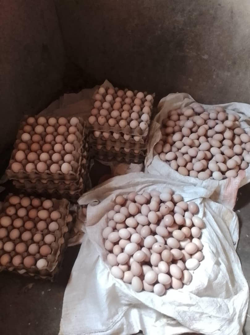 Fresh Eggs from A.I.C. Farms